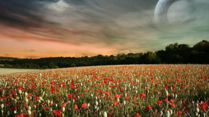 鸿蒙电脑会在国内逐渐取代windows电脑吗?